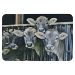 Paillasson veau dans l'étable
