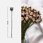 Branche de Roses
