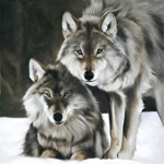 LO006 Toile sur chssis couple de loups