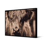 Tableau cadre noir 65x92,5 Vache Lero - Pdevache