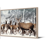 Toile AC cadre naturel - 65x92,5 - Harde de cerfs - Pdevache
