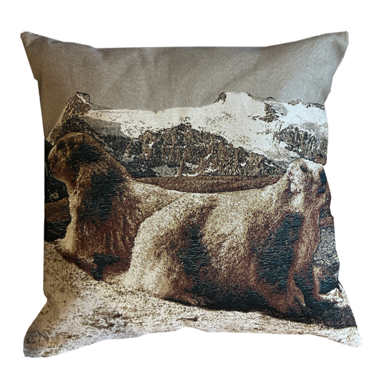 Housse de coussin 50x50 - Marmottes