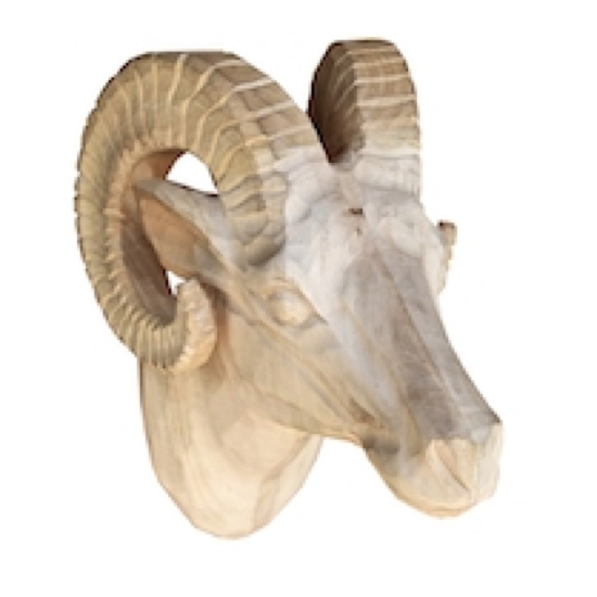 Tête de mouflon brute en bois sculpté main 27x16cm