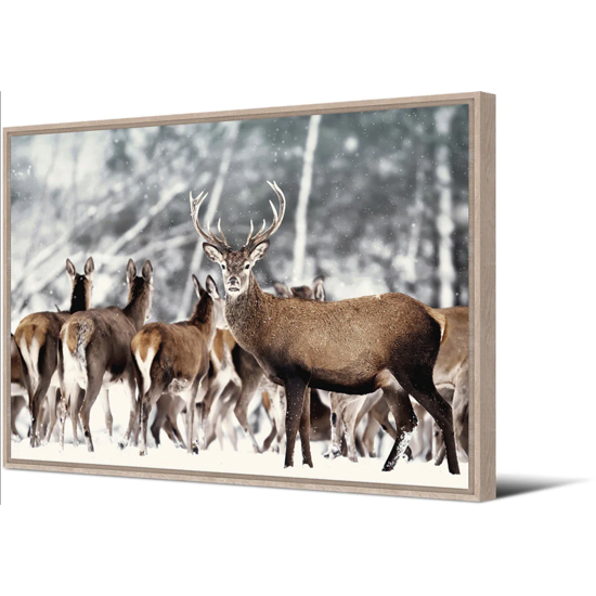 Toile AC cadre naturel - 65x92,5 - Harde de cerfs - Pôdevache