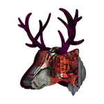 Trophy deer - Purple branch