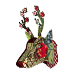 Trophy roe - Flower blow up