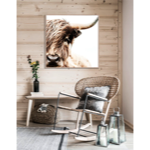 Toile AC cadre naturel - 80x80 - Vache Highland - Pôdevache