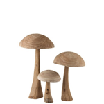 Champignon Danda chataigner - L