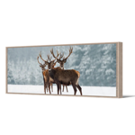 Toile AC Cadre naturel - 35x105 - Brekka - Pdevache
