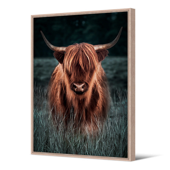 Tableau cadre naturel Vache Highland 65x92,5 cm - Pôdevache 