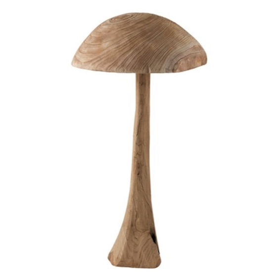 Champignon Danda chataigner - L