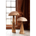 Champignon Danda chataigner - L