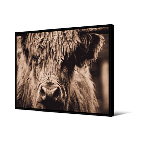 Tableau cadre noir 65x92,5 Vache Lero - Pôdevache