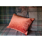 Coussin Velluto 40x60 - Angel Des Montagnes