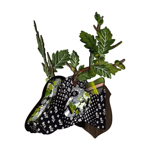Trophy deer - Lovers oak
