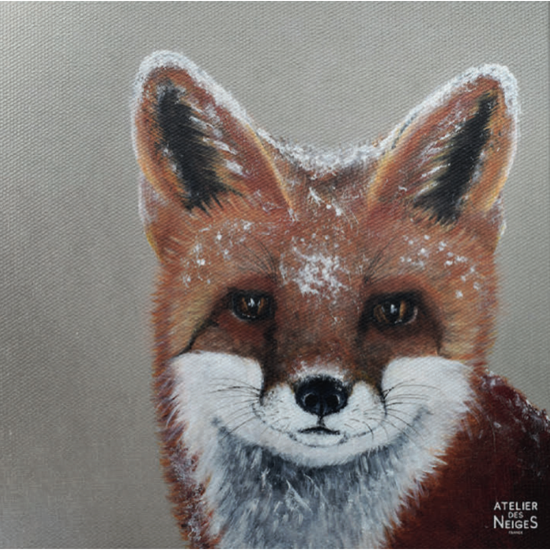 Tableau 60x60 suédine - Renard de face