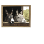 Plateau de genoux 2 ânes 