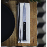 Coffret OPINEL 4 couteaux de table n°125 Pro