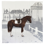 Plaid Haras col.10 145x145 cm - Jules Pansu