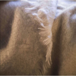 Couverture MOHAIR 220x240 - Lin 100 % Mohair - Brun de Vian-Tiran