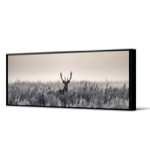 Toile AC Cadre noir - 35x105 - Hella - Pdevache