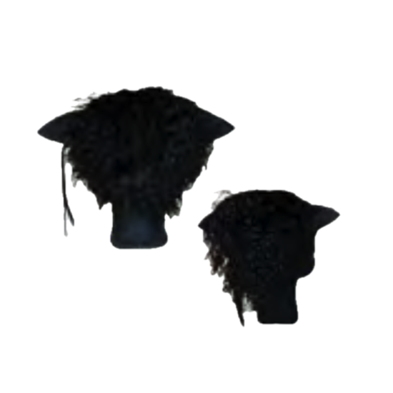 Trophée bestiole Noir MM - Maison Yak