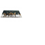 Paillasson neige troupeau deer
