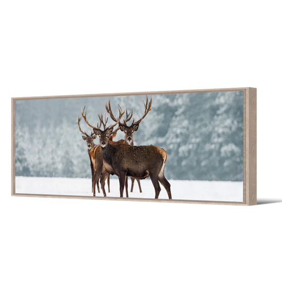 Toile AC Cadre naturel - 35x105 - Brekka - Pôdevache