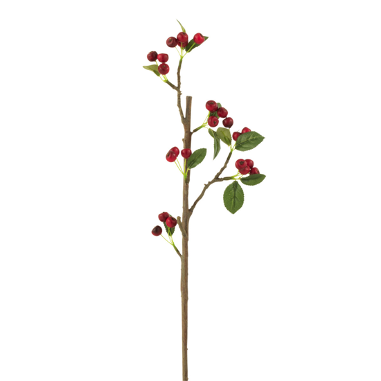 Branche baies fines - Rouge &amp; vert 