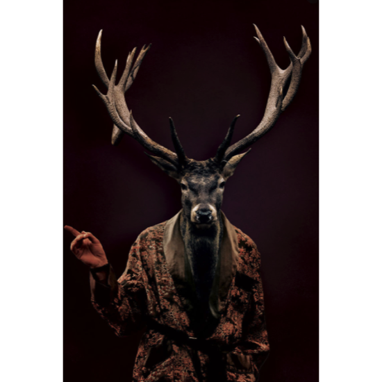 Plexbox Mystic Deer Clemy 80x120 cm
