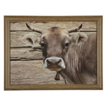 Plateau de genoux vache suisse