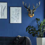 Trophy deer - Stag the runner 