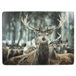 4 Sets de table Hiver cerf 30x40 cm