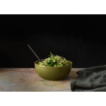 Poké Bowl - Ø18 - Edamame - Asa Sélection