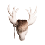 Trophée suédine Cerf Blanc 70 x 60 cm - Maison Yak